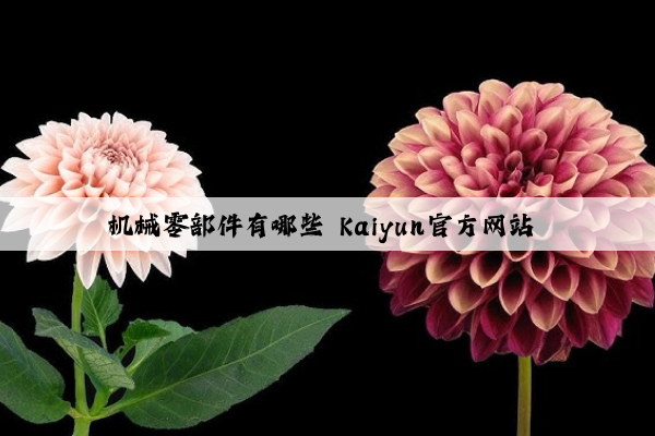 机械零部件有哪些 kaiyun官方网站 