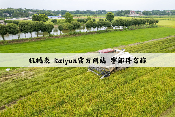 机械表 kaiyun官方网站 零部件名称