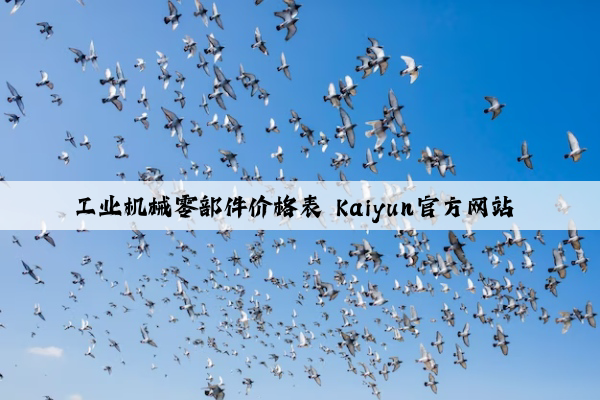 工业机械零部件价格表 kaiyun官方网站 