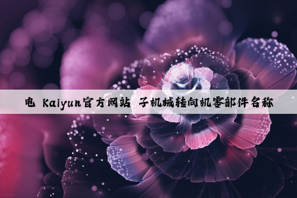电 kaiyun官方网站 子机械转向机零部件名称