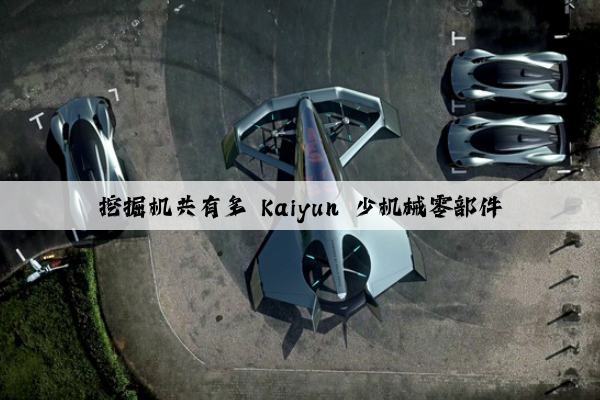 挖掘机共有多 kaiyun 少机械零部件