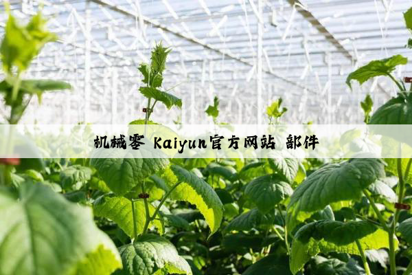 机械零 kaiyun官方网站 部件