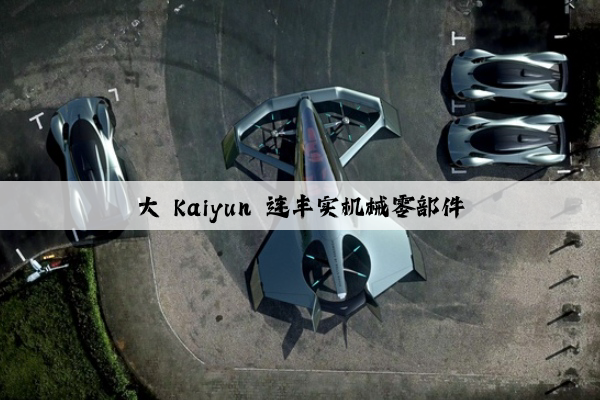 大 kaiyun 连丰实机械零部件