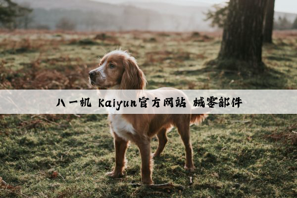 八一机 kaiyun官方网站 械零部件
