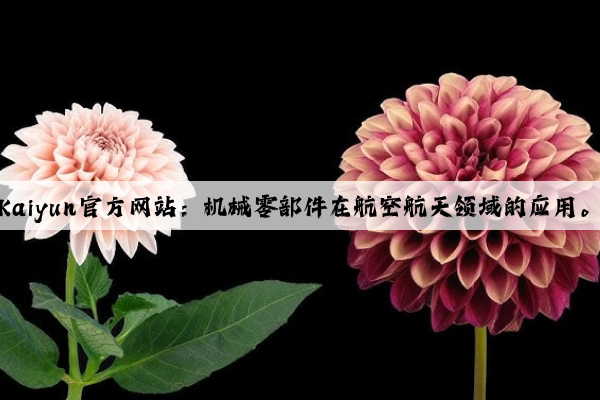 kaiyun官方网站：机械零部件在航空航天领域的应用。