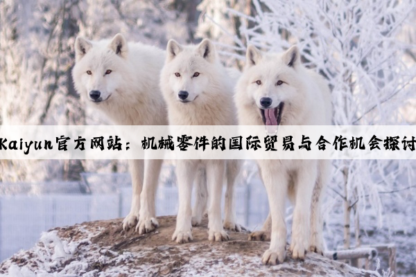 kaiyun官方网站：机械零件的国际贸易与合作机会探讨