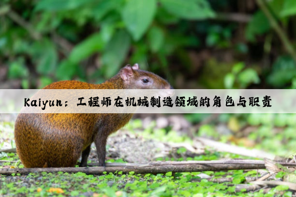 kaiyun：工程师在机械制造领域的角色与职责